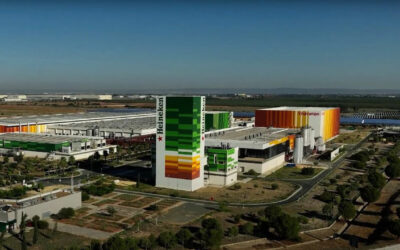 Innovación Sostenible: La Primera Planta Termo Solar en la Industria Española por Heineken y ENGIE