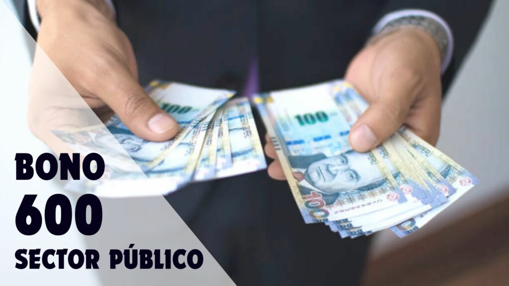 Bono 600 sector público todos los detalles que necesitas saber