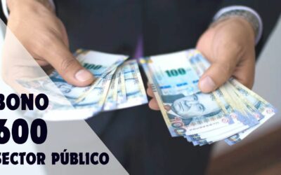 Bono 600 sector público: todos los detalles que necesitas saber