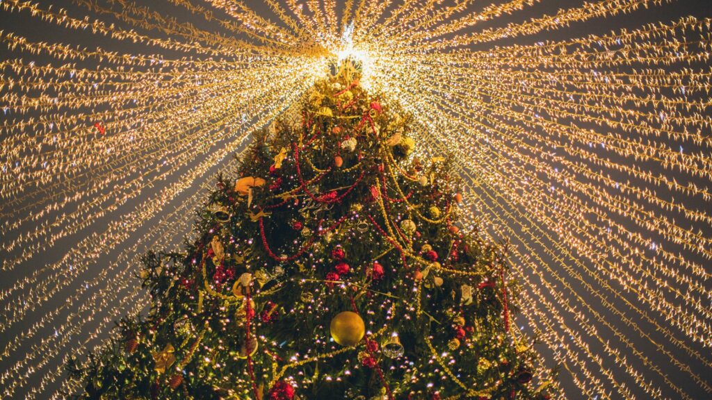 La magia navideña, tradiciones y secretos del árbol de navidad