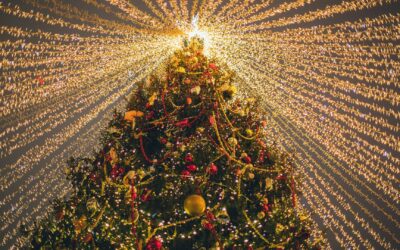 La magia navideña, tradiciones y secretos del árbol de navidad
