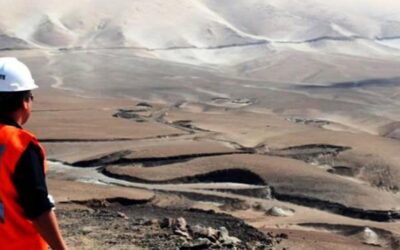 Tía María y el «boom» inmobiliario: Un Fenómeno en Islay