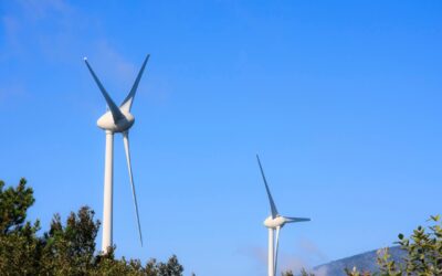 Wayra Extensión: Inicia Operación Comercial con Inversión de US$188.5 Millones