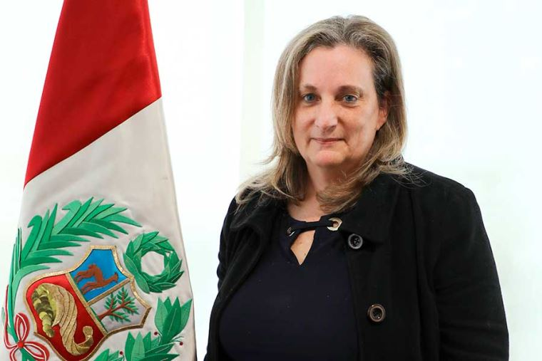 Una persona vestida de negro parada al costado de la bandera del Perú