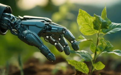 La Inteligencia Artificial y su Impacto en la Crisis Climática: Un Llamado de Atención de Expertos