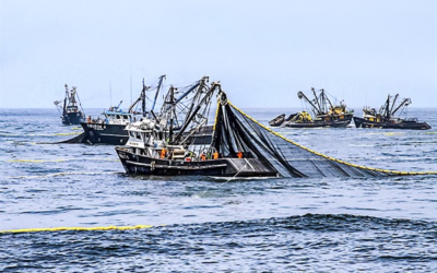 Gobierno del Perú aprueba decreto para eliminar la pesca ilegal