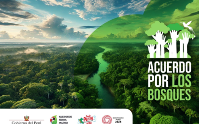 Acuerdo para la sostenibilidad de los bosques amazónicos: un paso clave para la conservación