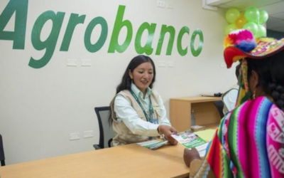 Fortalecen el agro con más créditos: Impulsando el sector agropecuario en Perú