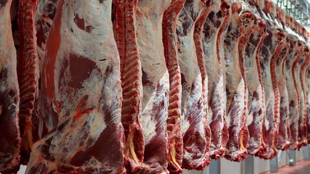 Perú exportará carne a China tras ser declarado libre de fiebre aftosa: Oportunidades económicas