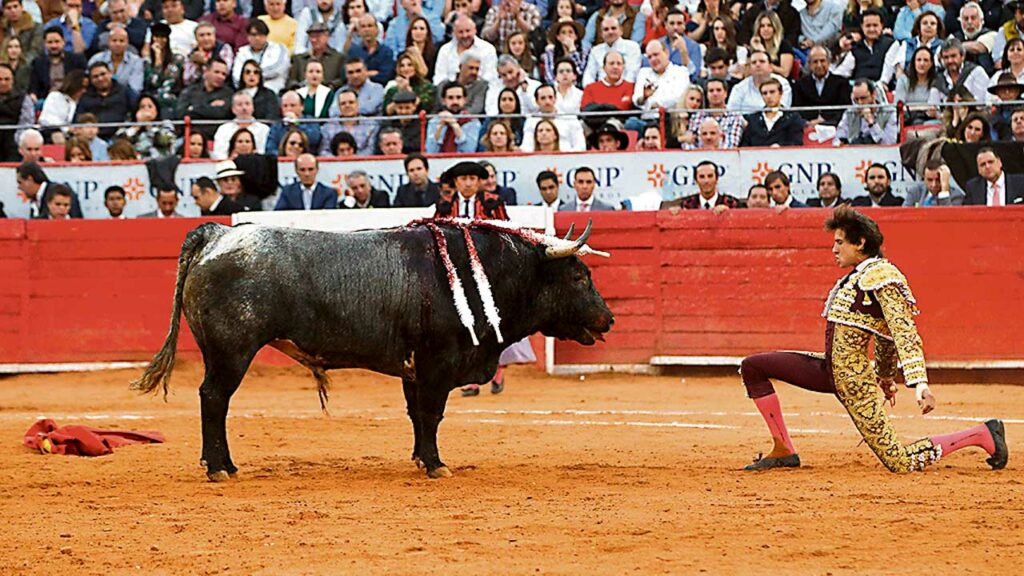 Polémica en el Congreso: Proyecto para reconocer corridas de toros como patrimonio cultural
