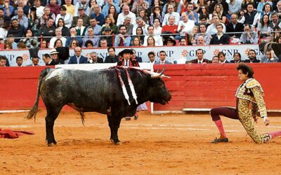 Polémica en el Congreso: Proyecto para reconocer corridas de toros como patrimonio cultural