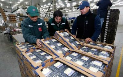 Puerto de Chancay inicia exportaciones con arándanos peruanos de alta calidad hacia Shanghái