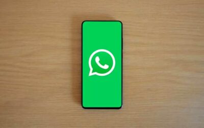 WhatsApp se despide del verde: Nueva función permite personalizar la interfaz