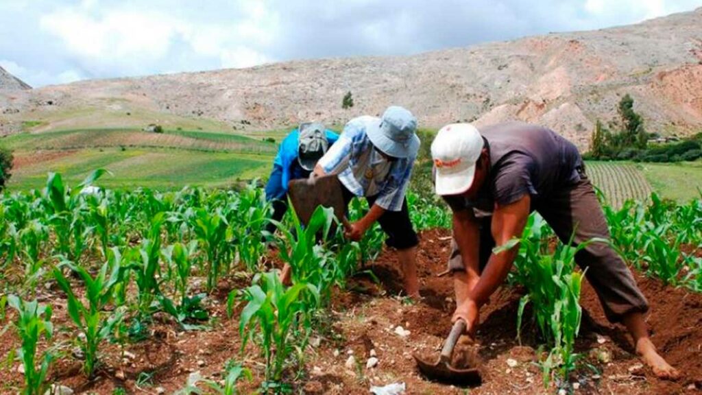 Más de S/ 3,000 Millones en Créditos para Pequeños Productores: El Plan del Gobierno Peruano