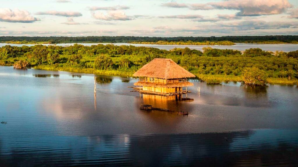 Competitividad Regional en Perú 2025: Loreto y Amazonas en Rezago