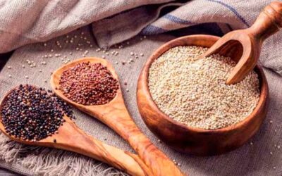 Exportación de Quinua Aumenta un 40% al Cierre del 2024: Claves del Éxito