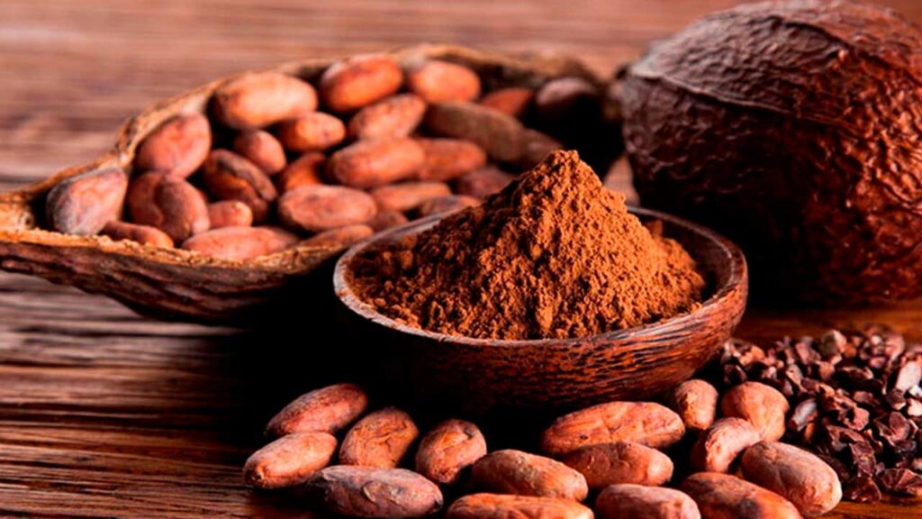 Las Mejores Marcas de Chocolates Peruanos: Sabor, Tradición y Calidad
