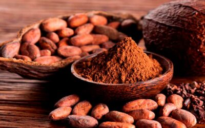 Las Mejores Marcas de Chocolates Peruanos: Sabor, Tradición y Calidad