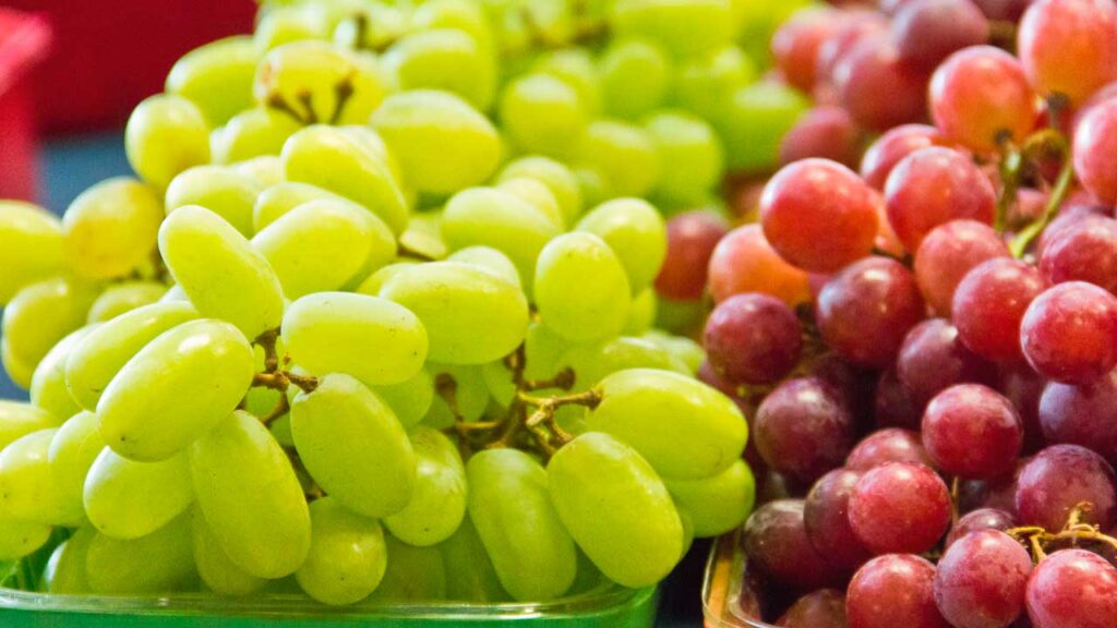 Exportación de uvas Perú 2025-2026: quién lidera el ranking y qué significa para proveedores y pymes agro