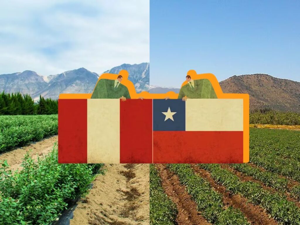 Exportación Agrícola Peruana: Perú Superará a Chile en 2027, Según MIDAGRI