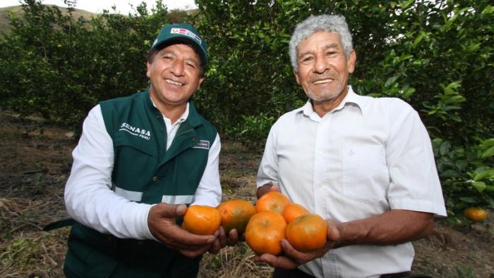 Perú Amplía sus Mercados: Acuerdos para Exportar Cítricos a Nueva Zelanda