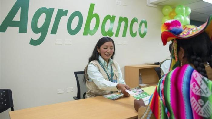 Fortalecen el agro con más créditos: Impulsando el sector agropecuario en Perú