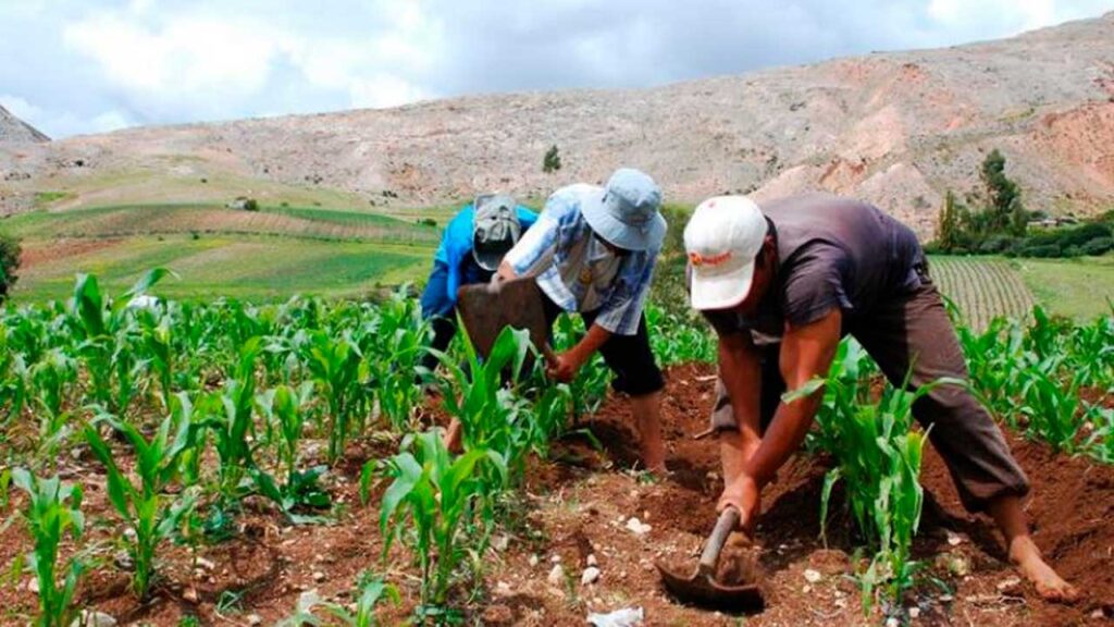 Más de S/ 3,000 Millones en Créditos para Pequeños Productores: El Plan del Gobierno Peruano