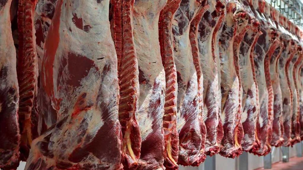 Perú exportará carne a China tras ser declarado libre de fiebre aftosa: Oportunidades económicas